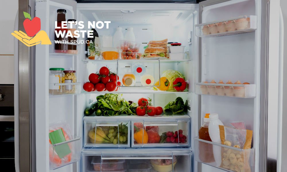 HOW TO EMPTY YOUR FRIDGE BEFORE A TRIP WITHOUT WASTING ANY FOOD
